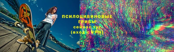 ПСИЛОЦИБИНОВЫЕ ГРИБЫ Горно-Алтайск