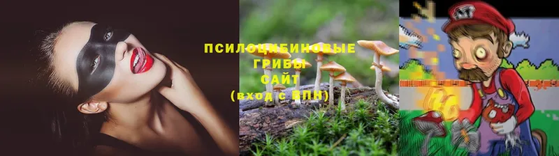 Галлюциногенные грибы Psilocybine cubensis Скопин